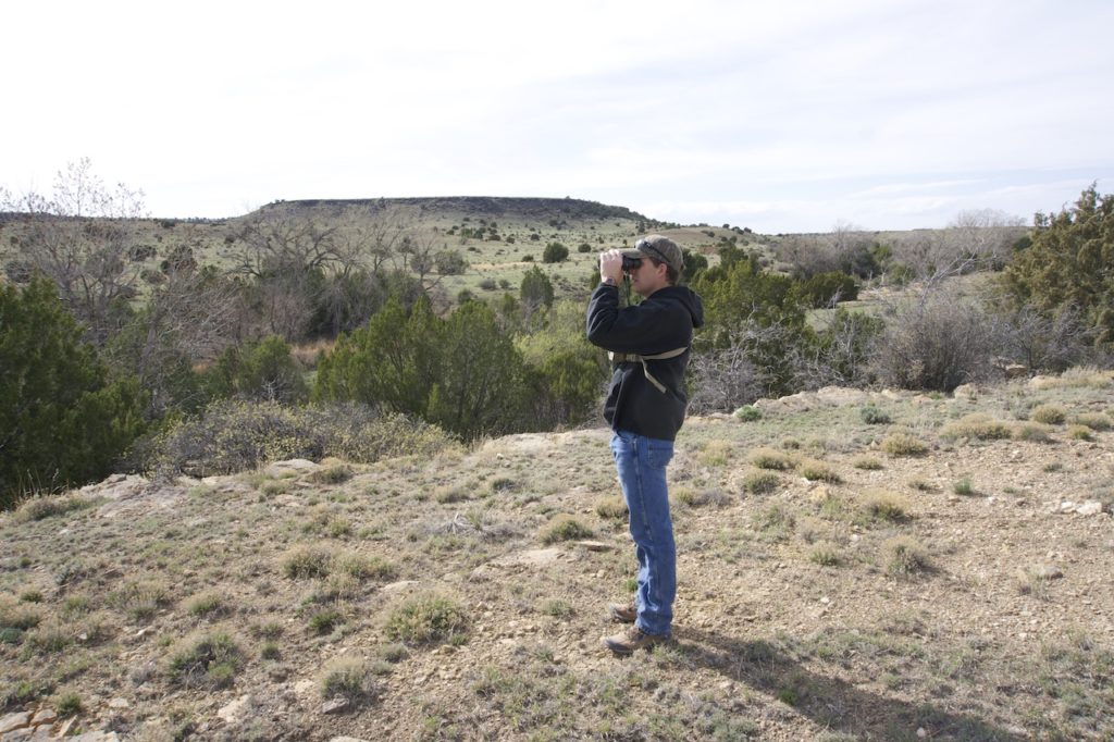 Tag A Pressured Public-Land Longbeard with Archery Tackle