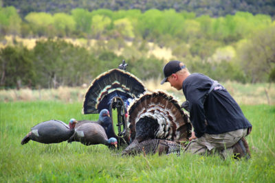 Go Bow-Mounted For Turkey
