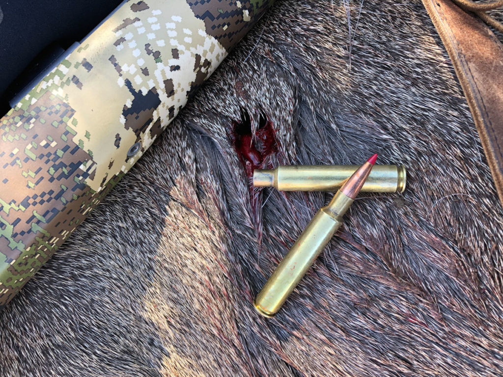 Take the Shot? A Young Hunter gets an Opportunity at a Magnificent Mule Deer Buck. It’s a long shot in challenging, windy conditions. Should he Take the Shot? - Presented by Badlands