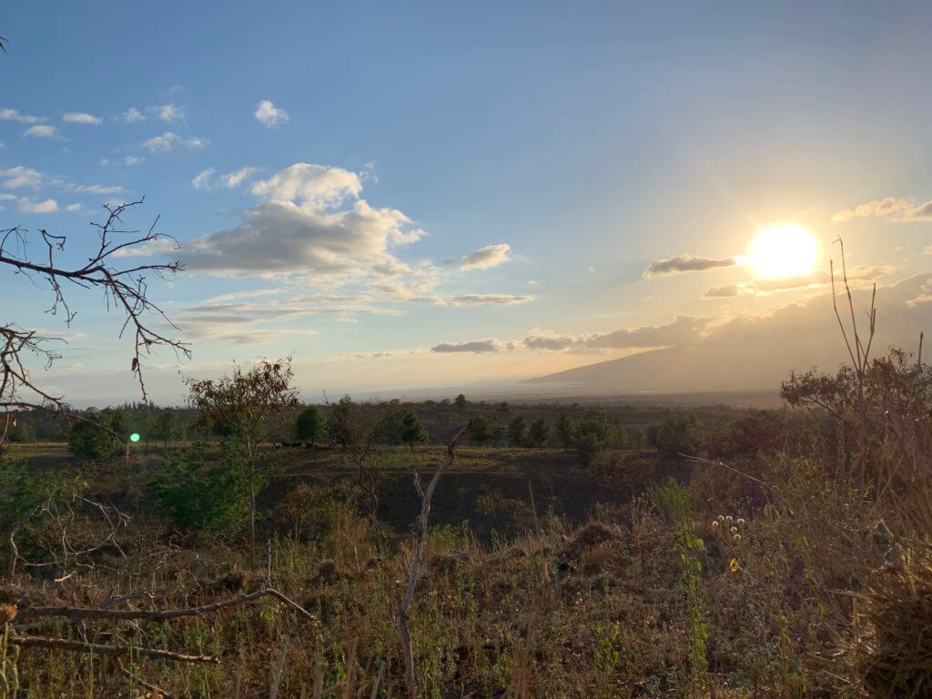 Offshore Hunting Paradise - Free Range Hunt-Cationing in the Hawaiian Islands