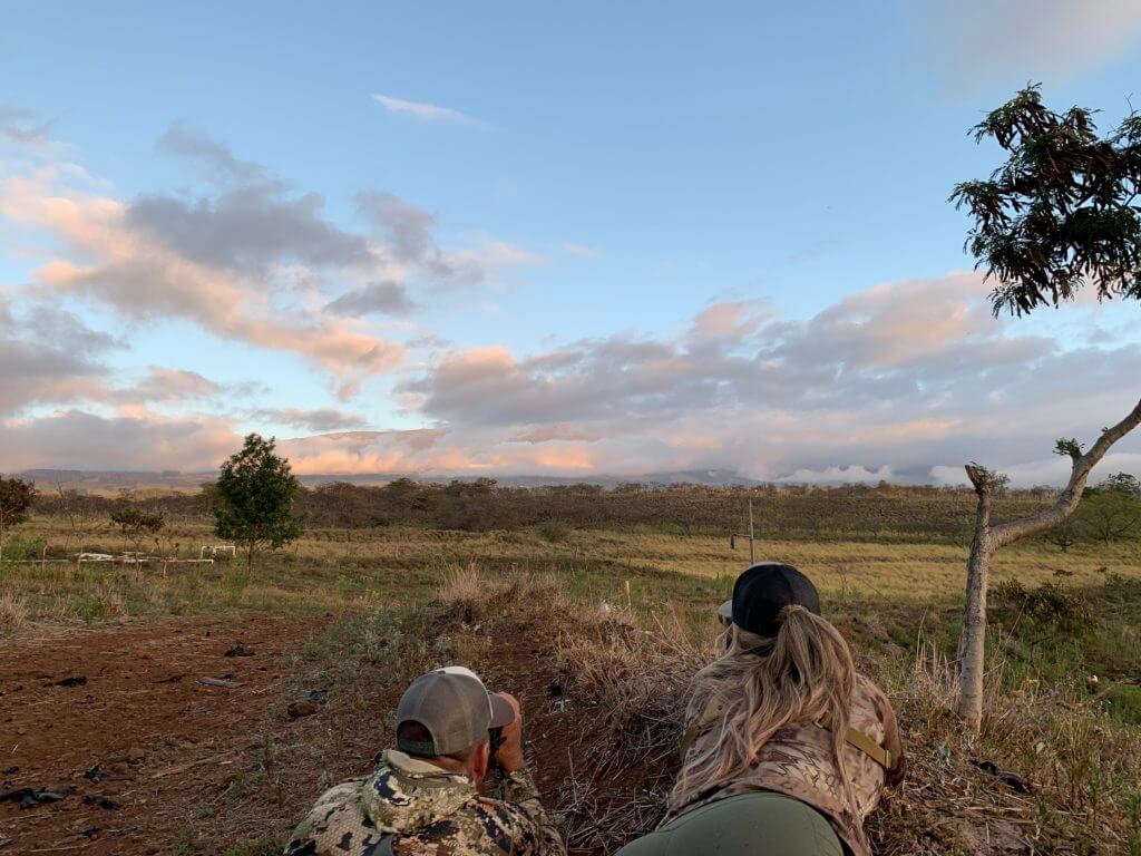 Offshore Hunting Paradise - Free Range Hunt-Cationing in the Hawaiian Islands