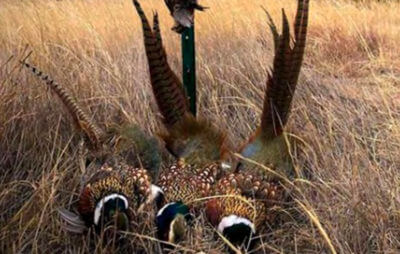 NSSF: Study On Assessing the Quality, Availability of Hunting and Shooting Access in U.S.