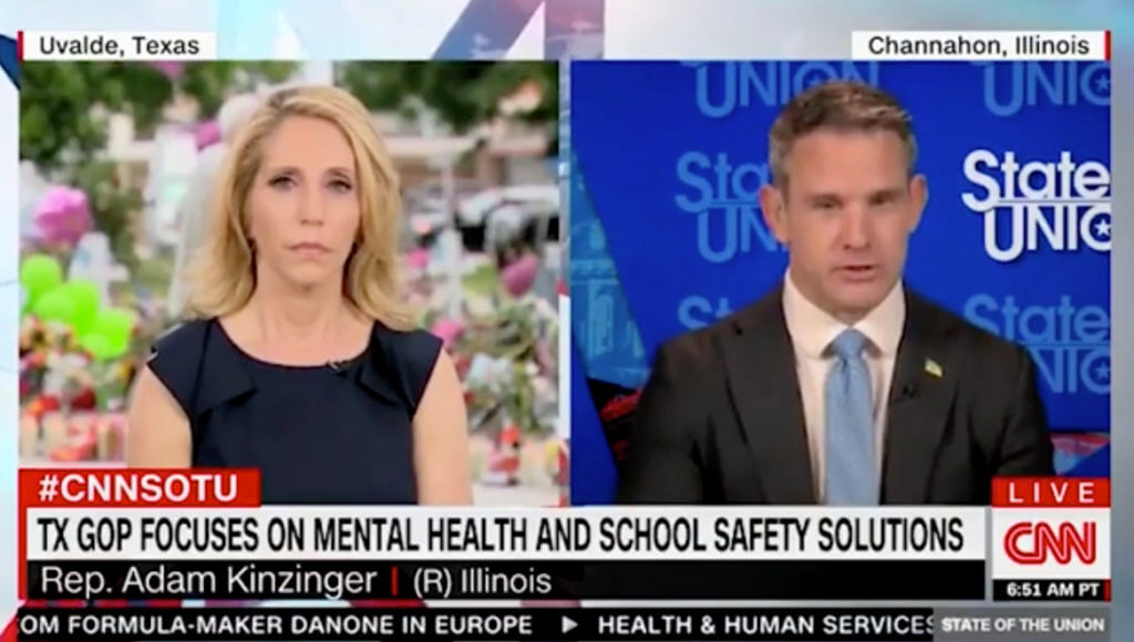 Republican Lawmakers Voice Support for AR Ban