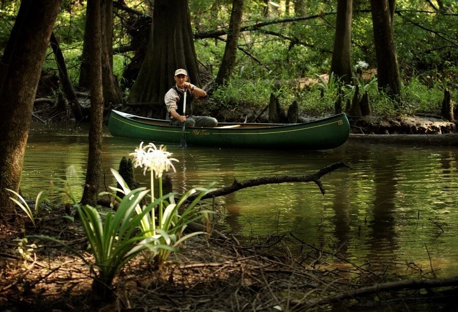 Alabama Holding Online Lottery for Alligator Tags for the 2022 Season