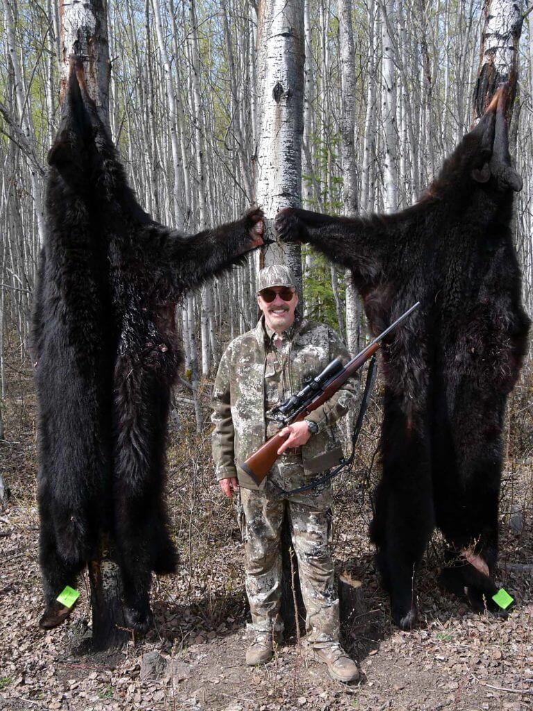 Doubling Down on Big Bears in Alberta