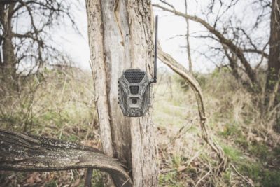 Wildgame Innovations - Terra Cell Camera Now Shipping!