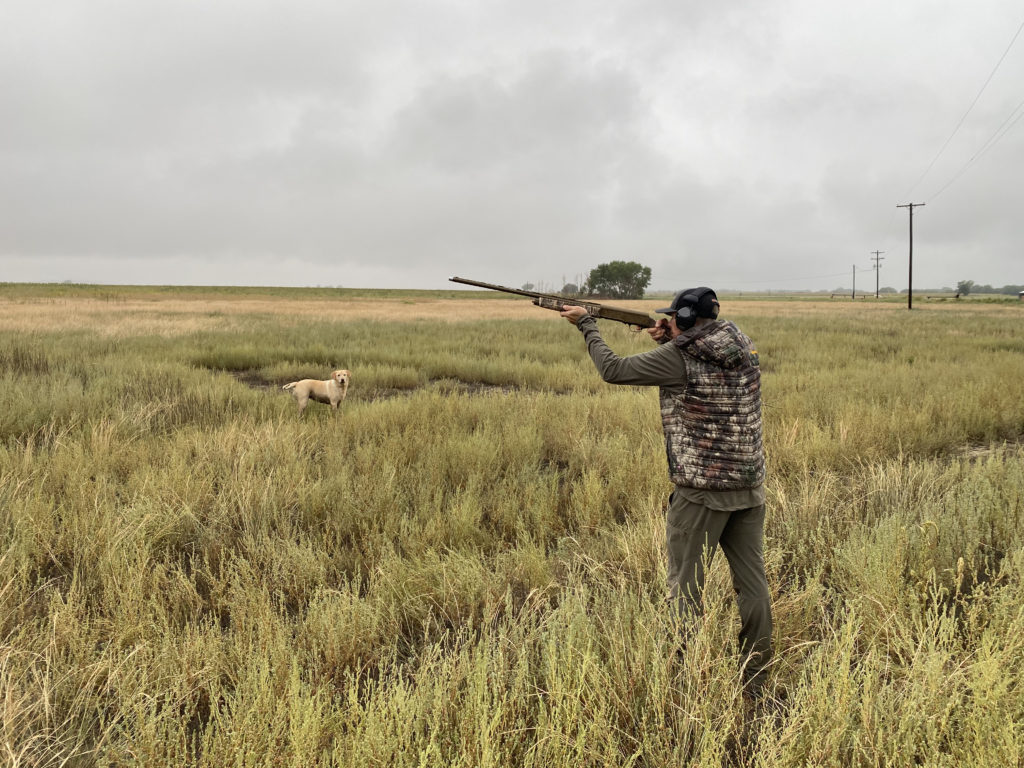 Tested: Browning A5 Wicked Wing Sweet Sixteen