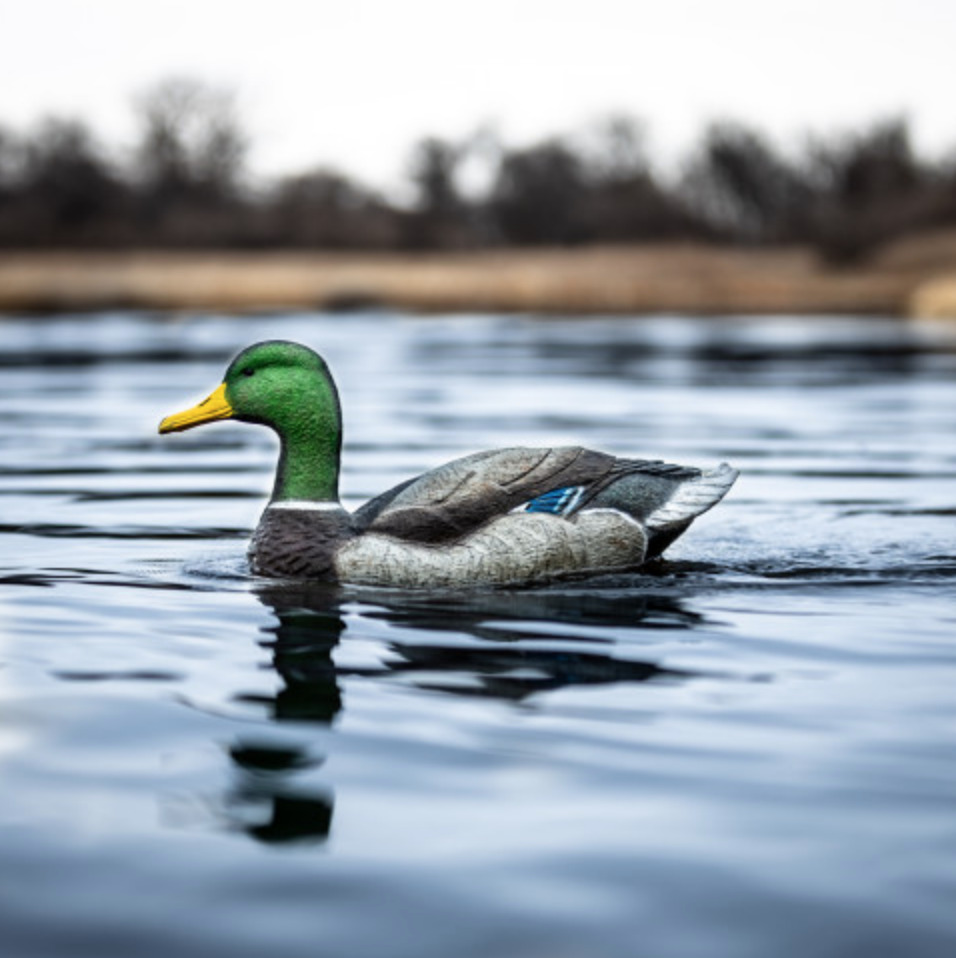 Put a Swimmer In Your Spread