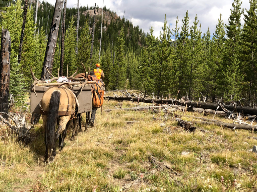 Take the Shot? A Hard-Core Hunter Gets a Shot at a Public Land Elk with a Light-for-Elk-Caliber. Should He Take the Shot? Presented by: Badlands