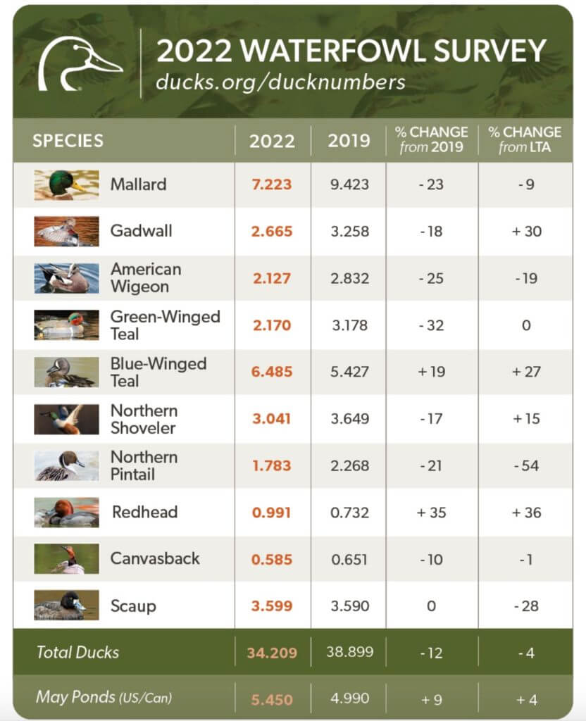 Duck Numbers for 2022 and 2023