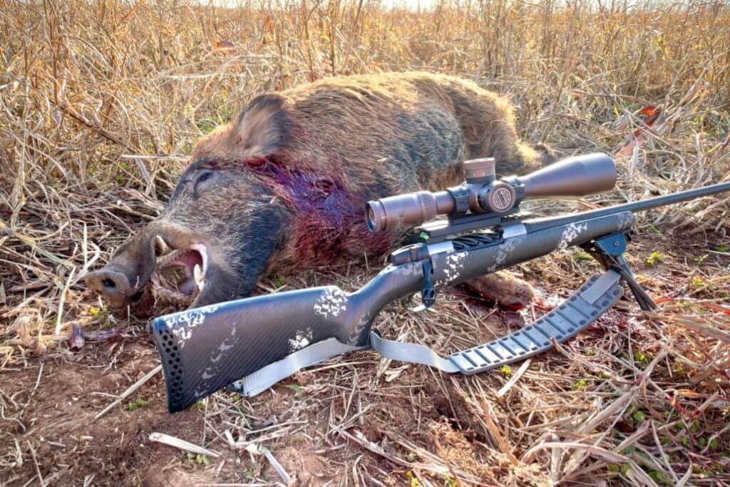 Vortex Razor HD Gen III 6-36X56 sitting on a Weatherby Mark V set in front of a big boar that I shot