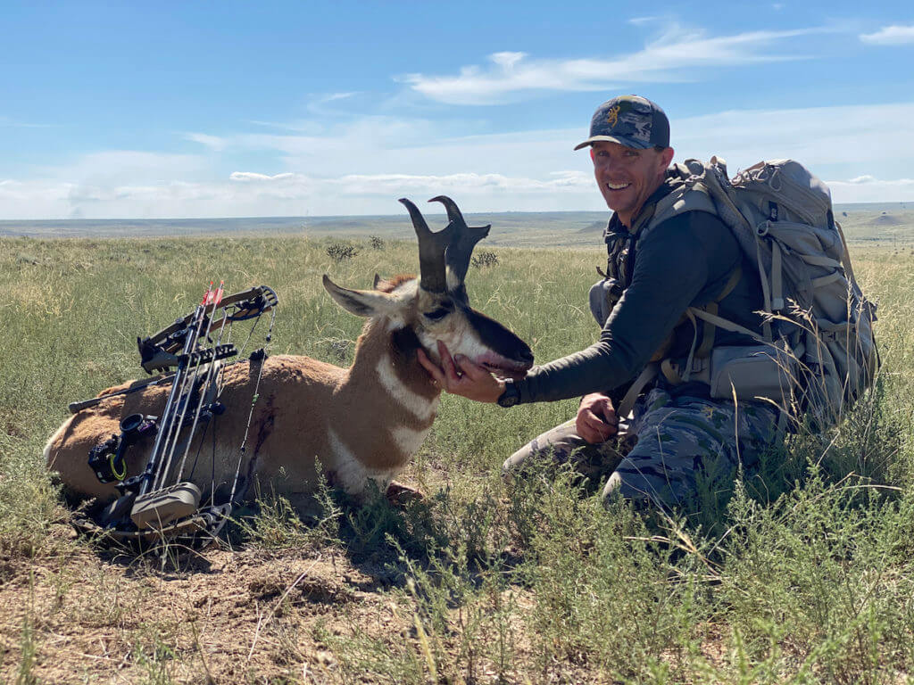 Tried-and-True: Hoyt VTM 31