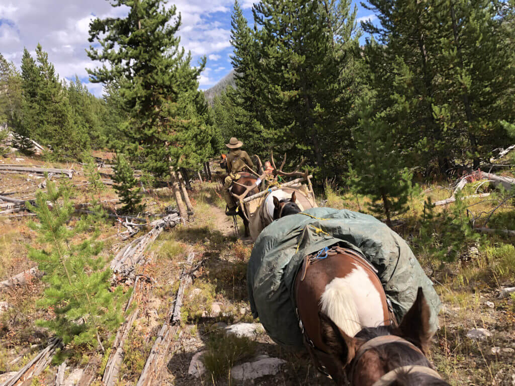 Take the Shot? A young hunter is presented with a make-or-break long-range shot at a big bull elk. The pressure is on and time is short. Will he take the shot? - Presented by Badlands