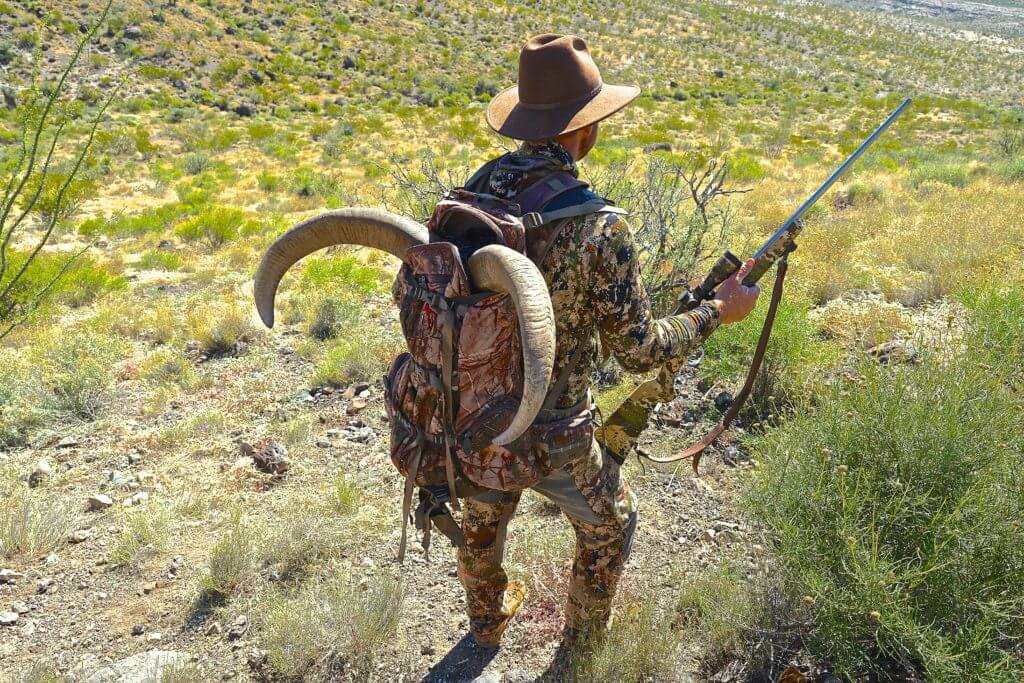 TAKE THE SHOT: AOUDAD FOR TWO