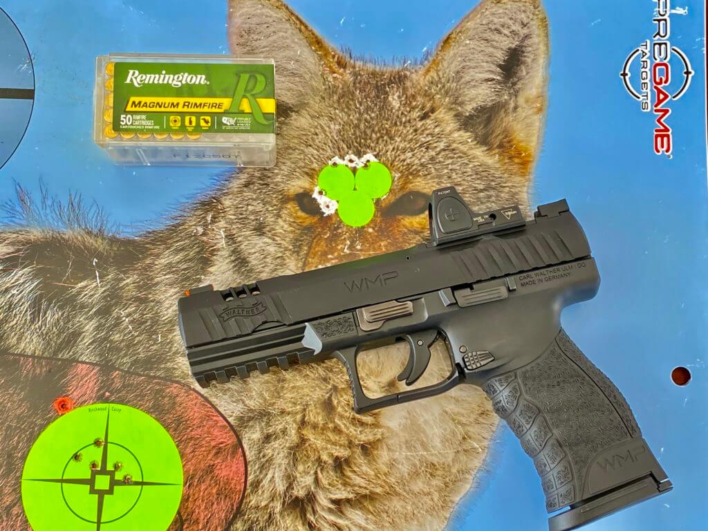 Walther WMP with coyote target