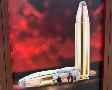 Winchester Unveils New 400 Legend Cartridge