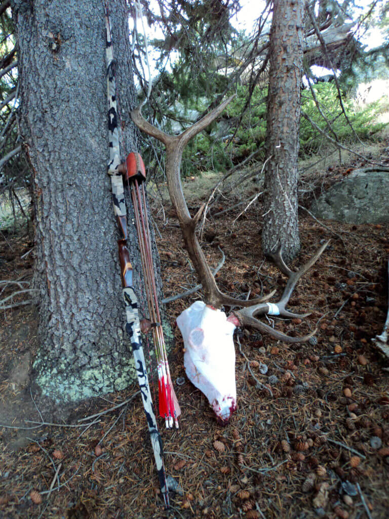 Longbow, quiver, and elk skull propped against tree