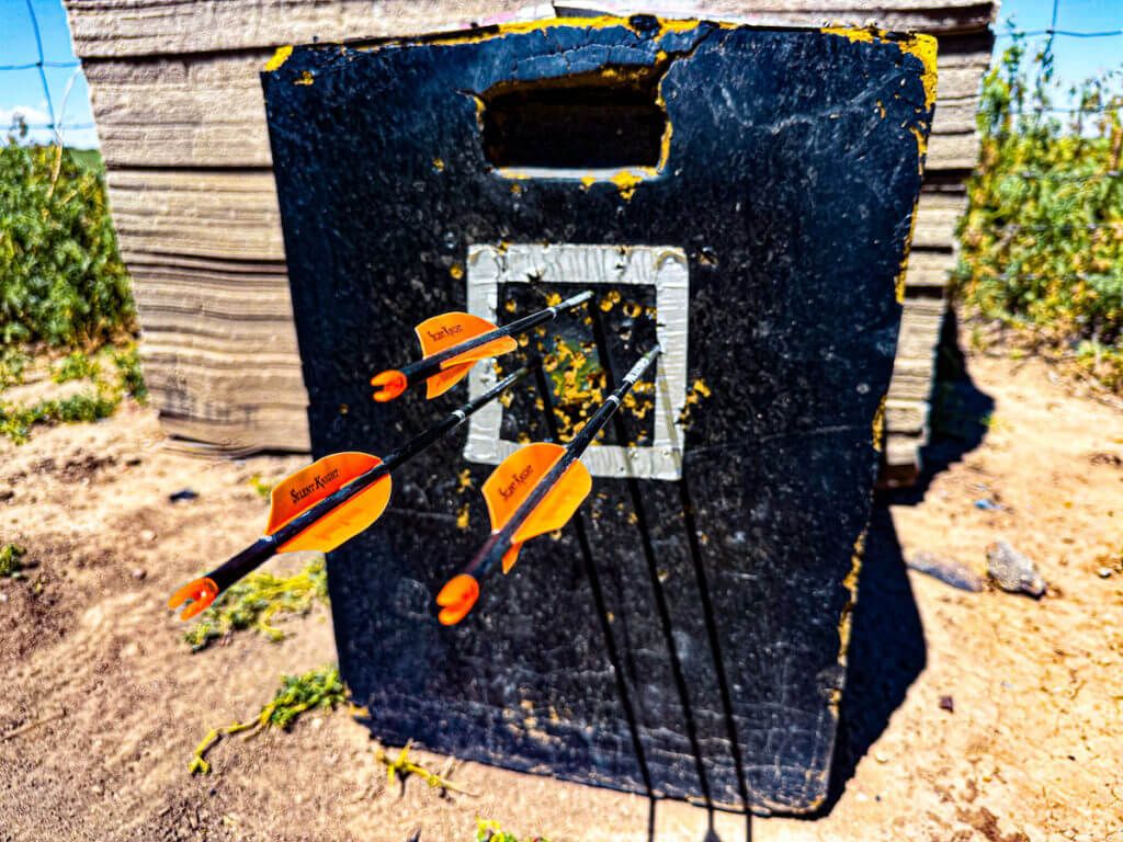 Practice target with arrows used for archery games