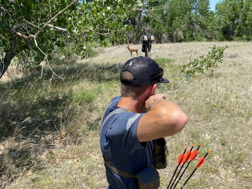 Bowhunter aiming at deer targer
