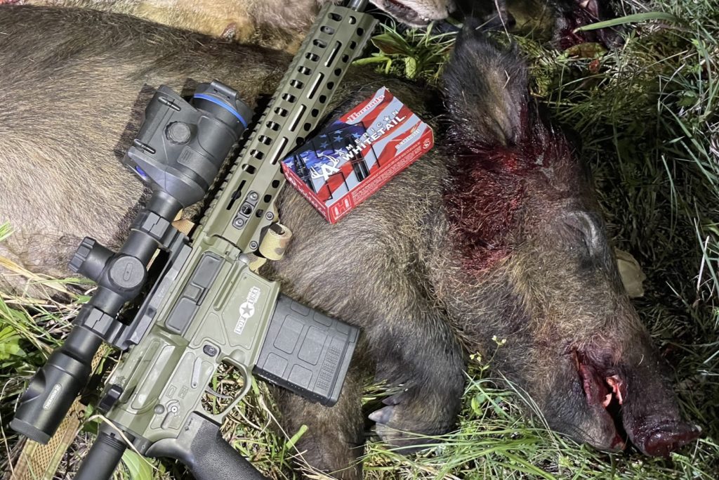 POF Rogue with Hornady ammo and a wild hog