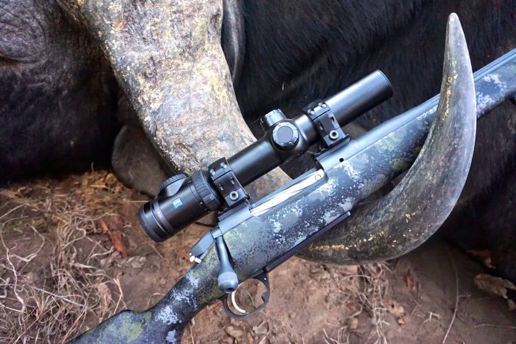 Bergara Canyon propped against enormous buffalo horns