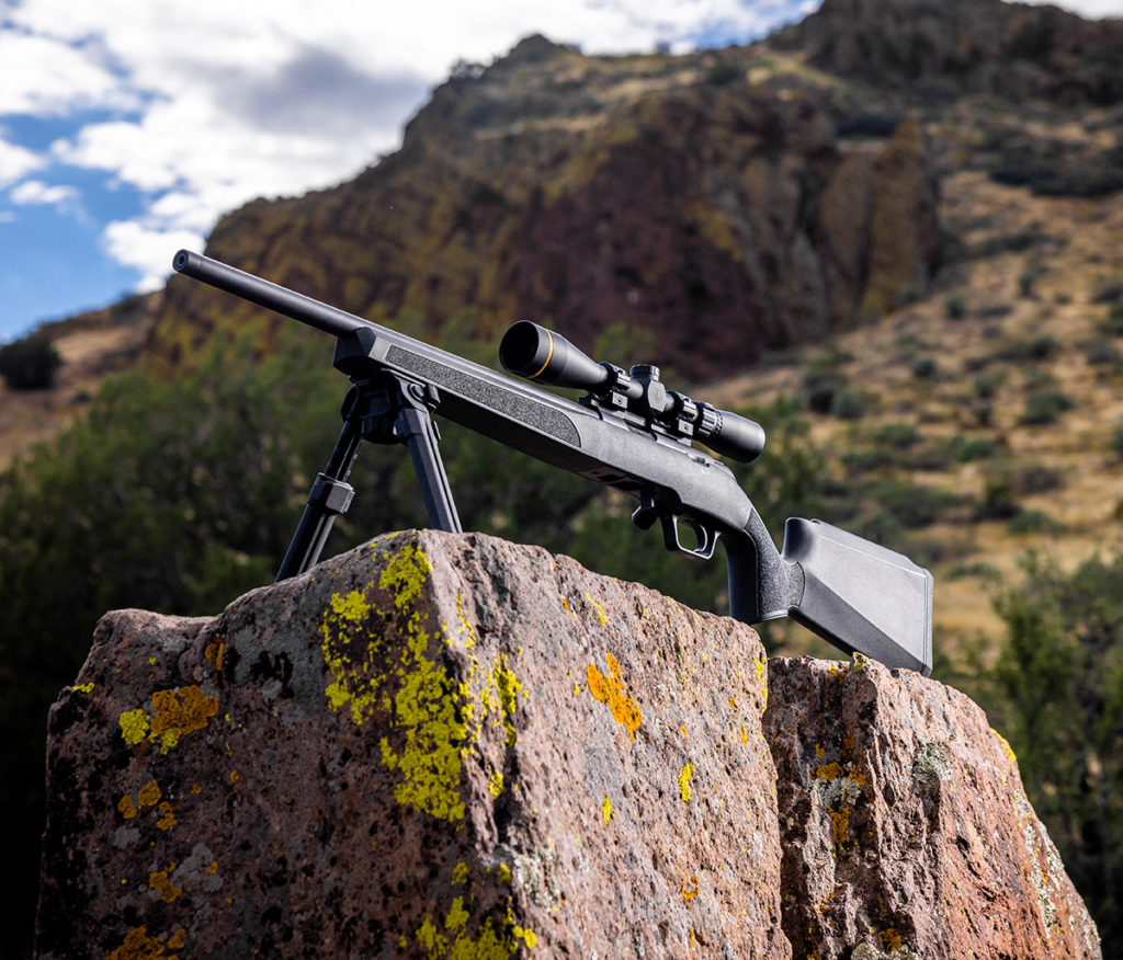 A model 2020 rimfire on a mountain. 