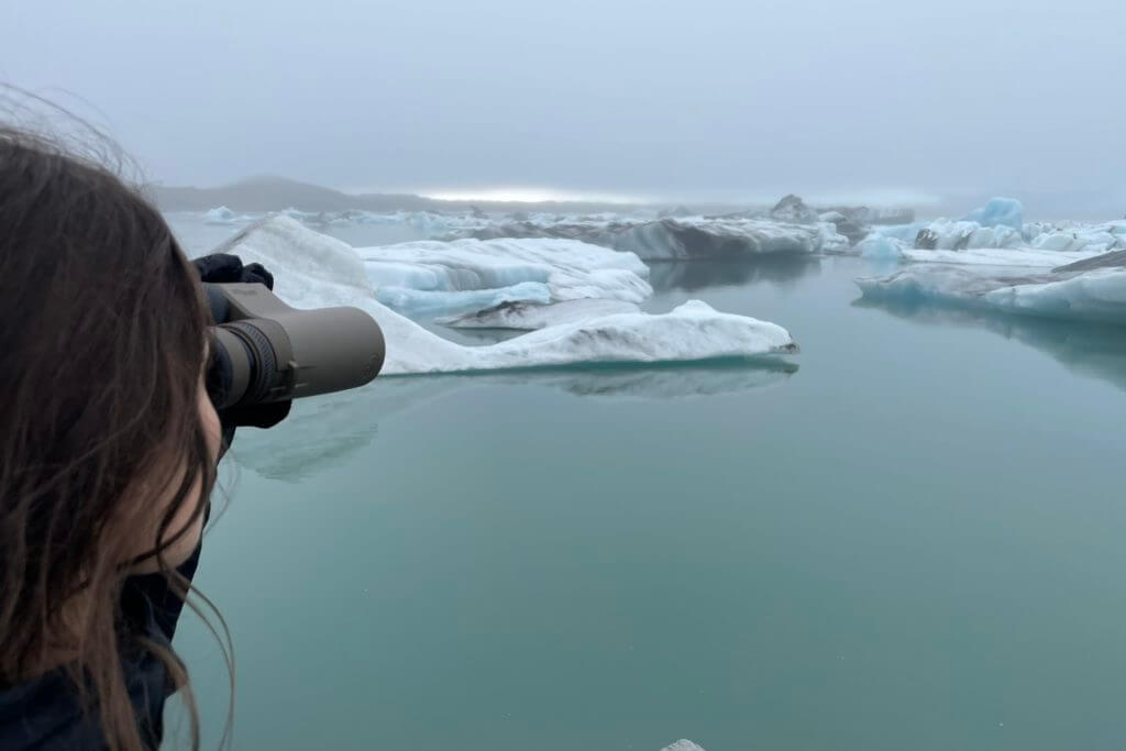 SIG SAUER ZULU8 HDX Binoculars used to look at seals on  blue icebergs