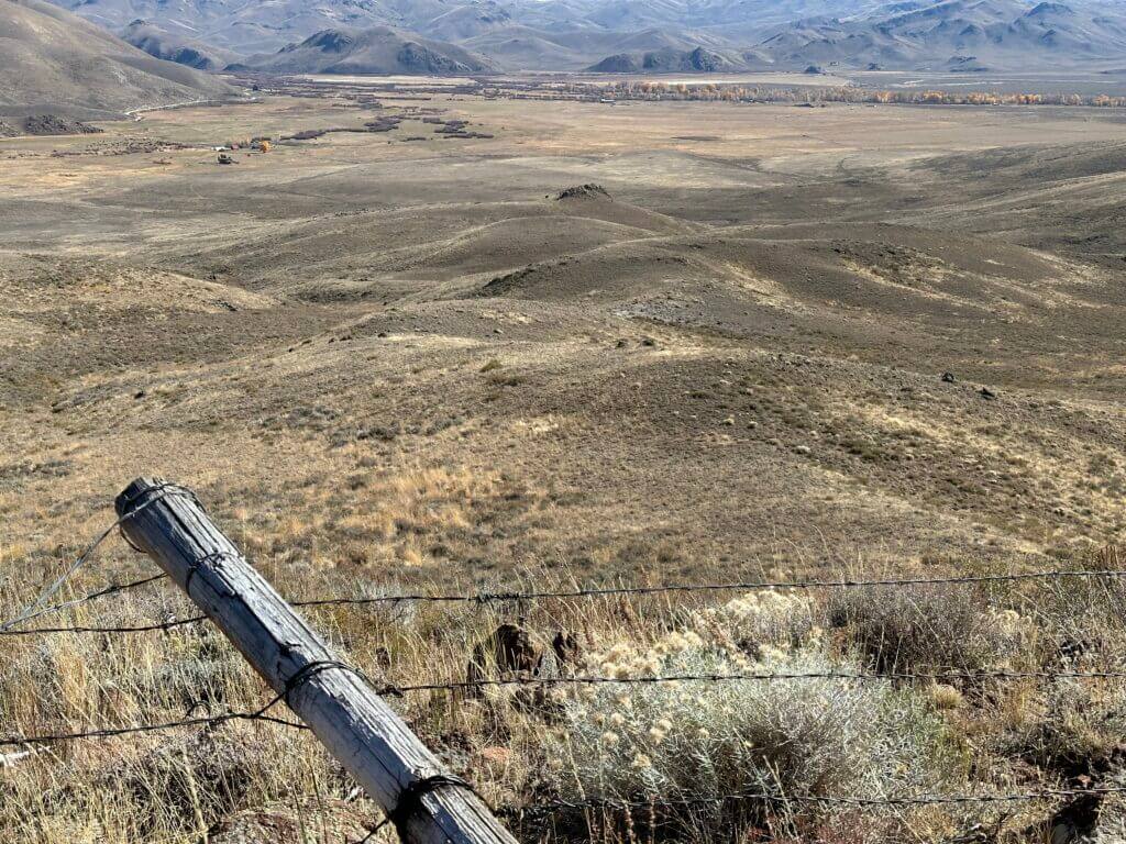 A fence up close divides the hunter from the group of game that are standing on the sage hillside below him.