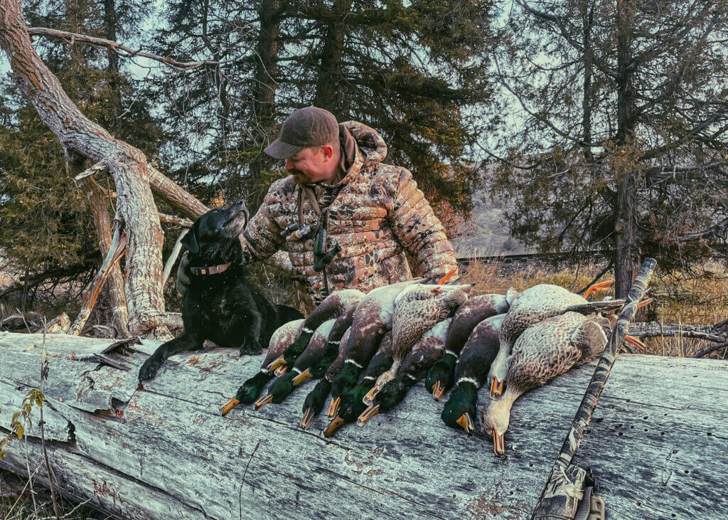 Hunter dressed in Kryptek gear with his dog and mallard ducks