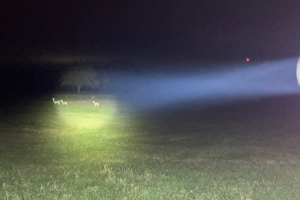 Turbo mode illuminating deer at around 75 yards