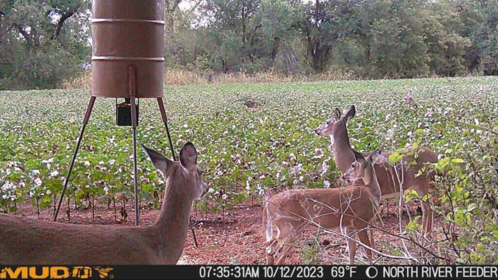 Captured! Muddy Matrix Cellular Trail Camera Review