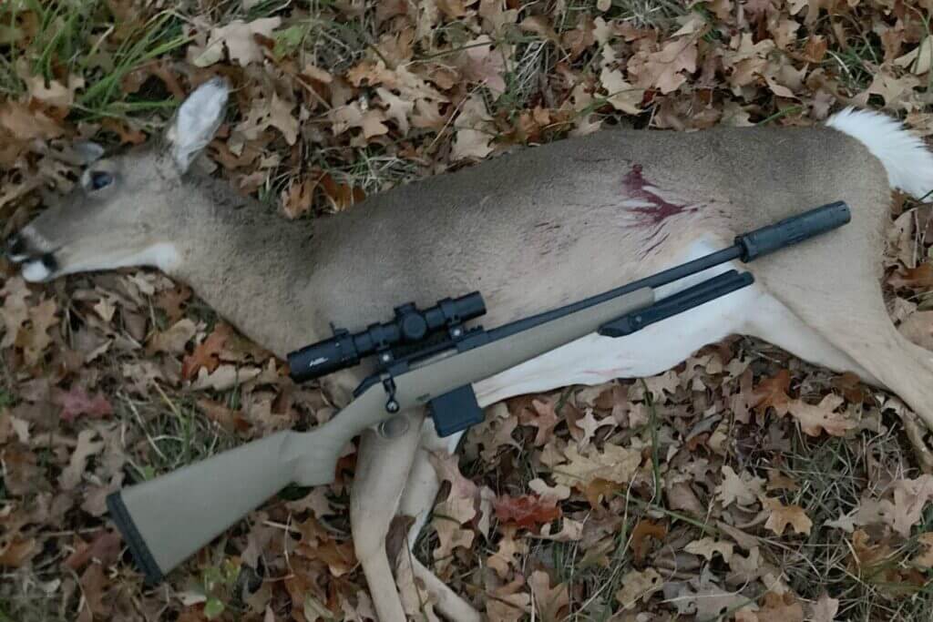 taking a doe with a ruger american ranch rifle in 300BLK