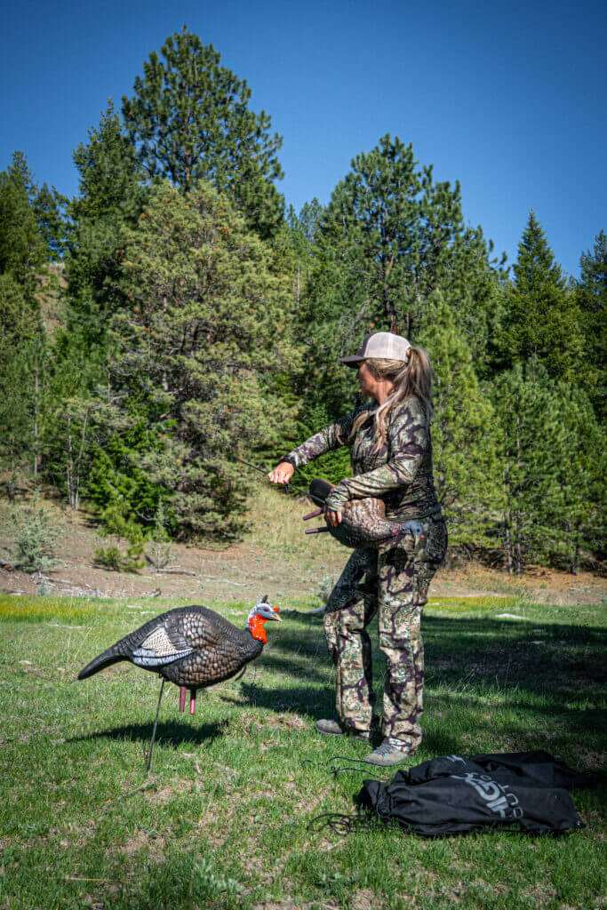 Hunter setting up turkey hunting decoys