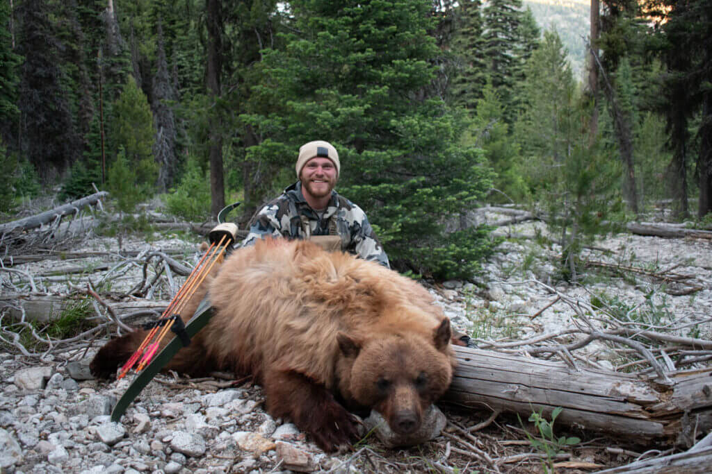 Authors bear harvested over bear bait.