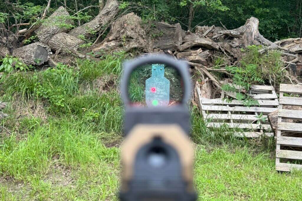 Looking through a red dot at a target in front of green grass and tree stumps