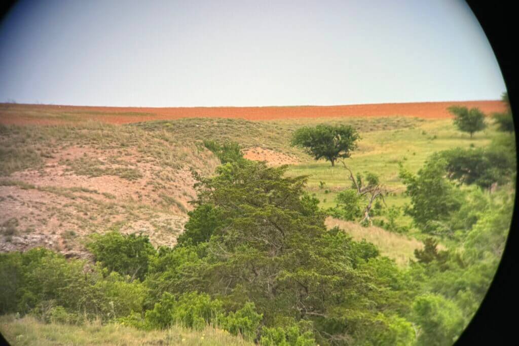 Green and orange pasture through binoculars