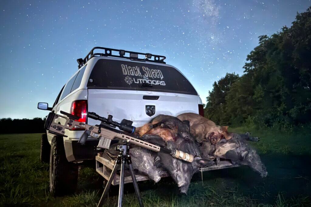 rifle truck and hogs