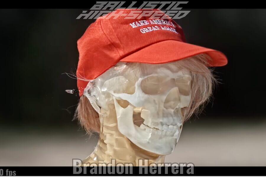 Trump dummy skull in a red hat.