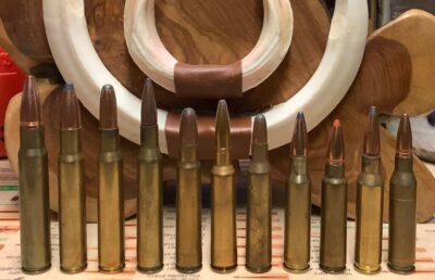 The Ideal Rifle Caliber for Wild Boar