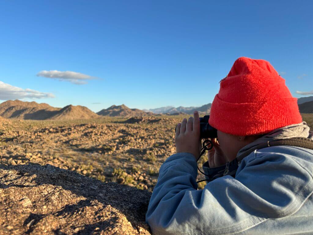 Glassing for Mule deer.