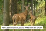 Changes to Michigan's deer laws to increase hunter participation.