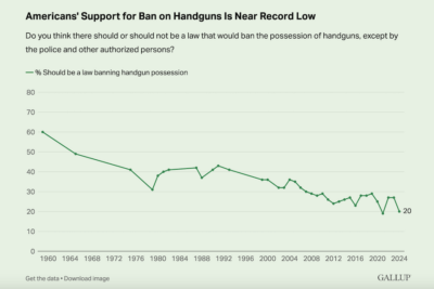 Gallup Survey on support for handgun bans.