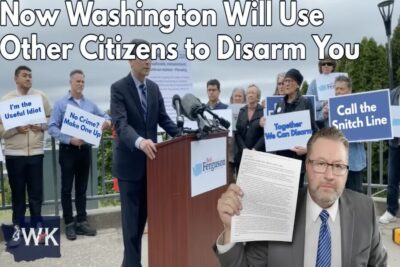 Washington Gun Law screengrab.