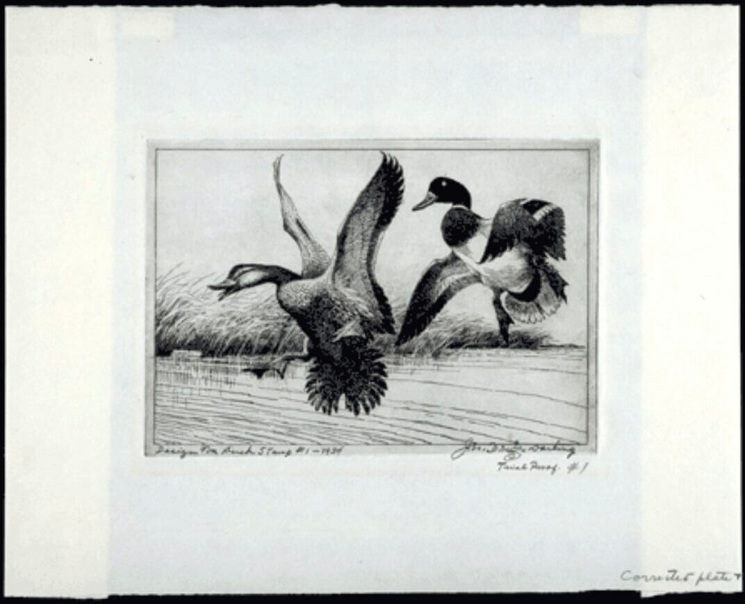 The Federal Duck Stamp