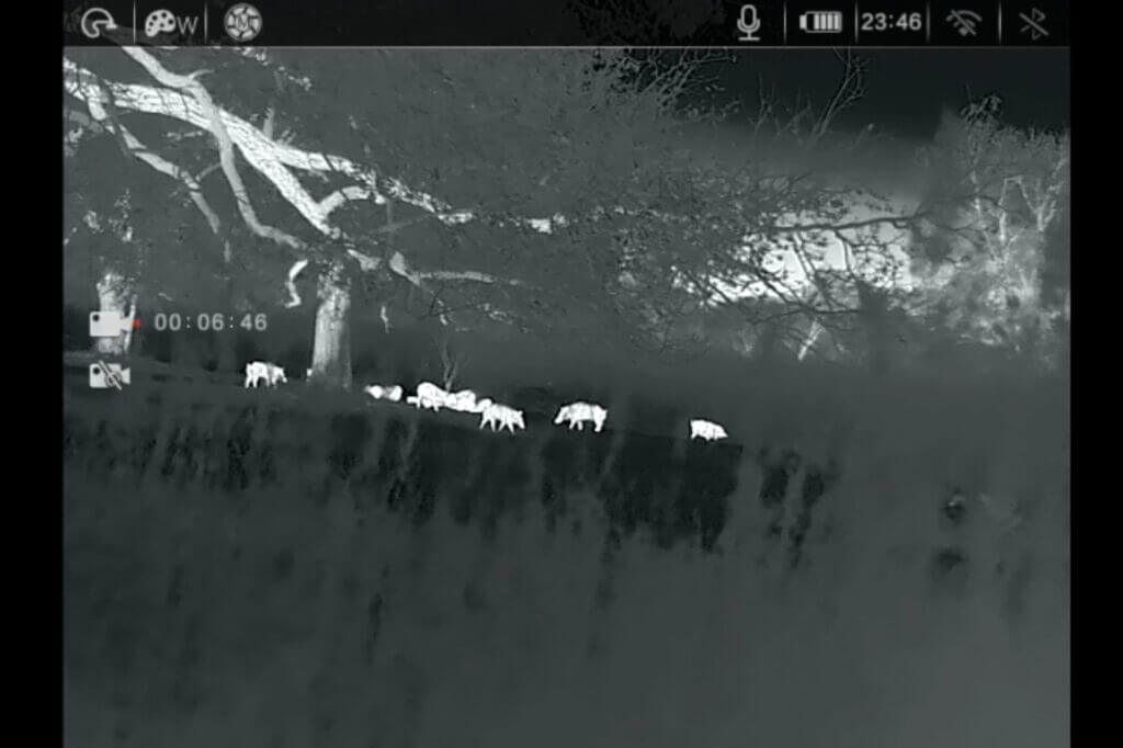 Screenshot taken during stalk up on wild pigs while the RH25 V2 was mounted to my helmet