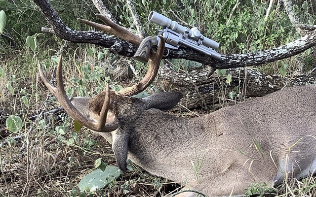 buck and ruger super blackhawk hunter pistol and cutting edge bullet in the woods