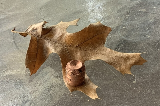 cutting edge bullet on a brown leaf
