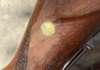 up close of rifle. Savage 99