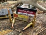 Ammo and deer antler