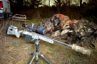 Going Hog Wild: Savage 110 PPR Review